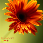 Burnet Ware - Herne Hill