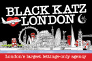 Black Katz - Islington : Letting agents in Walthamstow Greater London Waltham Forest