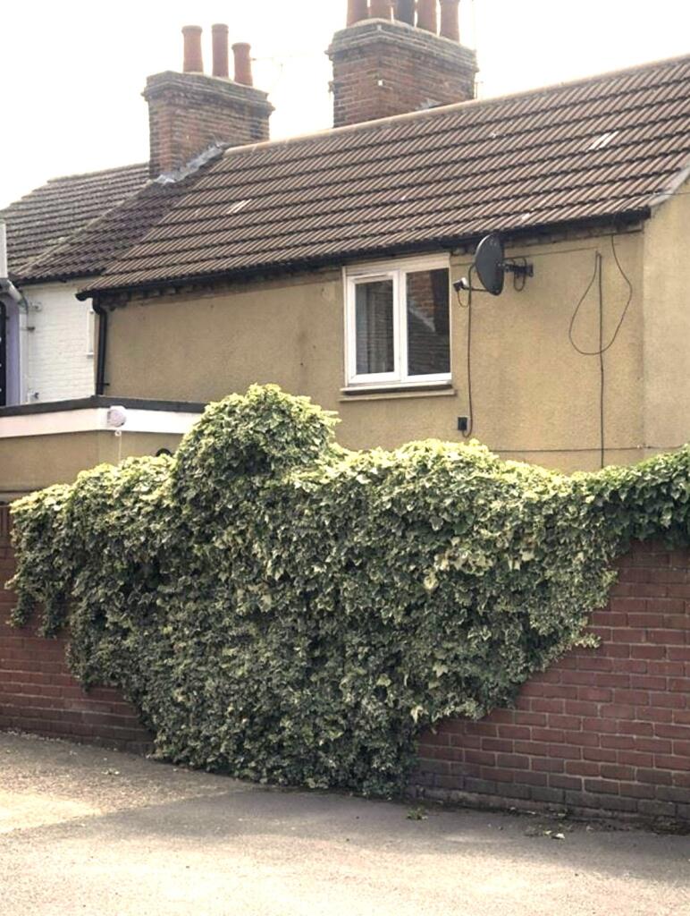 2 bed Detached for rent in Colchester. From Connells - Colchester