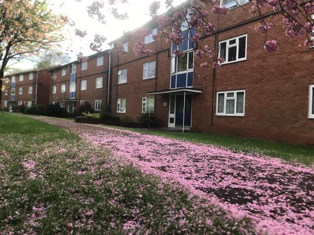 2 bed Apartment for rent in Perton. From Connells - Wolverhampton 2 bed Apartment for rent in Perton. From Connells - Wolverhampton