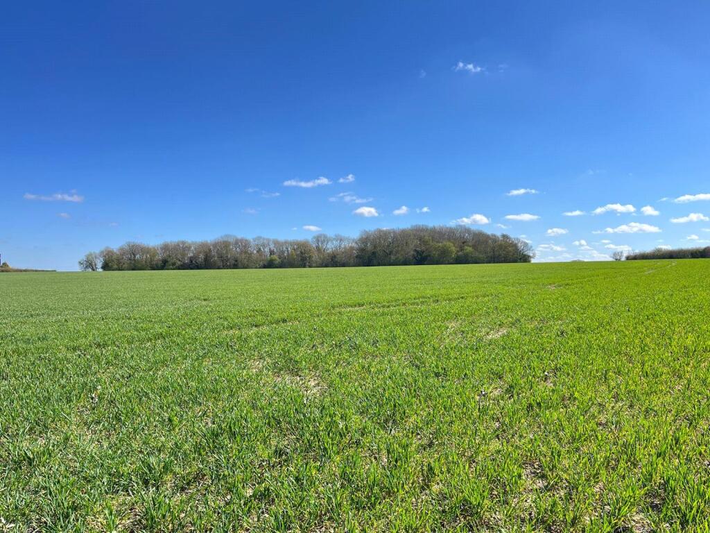 0 bed Dev Land - Leisure for rent in Hessett. From Lacy Scott & Knight - Bury St Edmunds