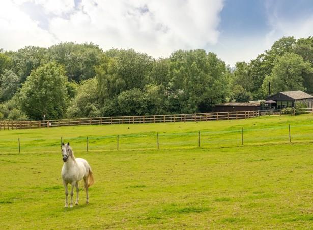 2 bed Detached for rent in Elmbridge Village. From Howard Morley & Sons - Guildford