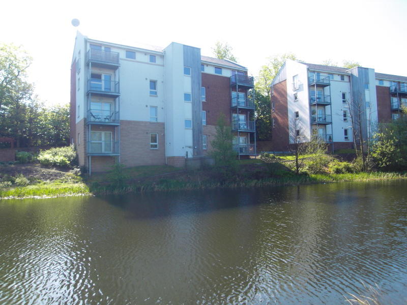 2 bed Apartment for rent in Falkirk. From Only 1 Properties - Falkirk 2 bed Apartment for rent in Falkirk. From Only 1 Properties - Falkirk