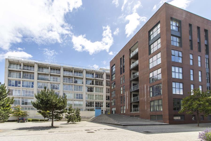 1 bed Apartment for rent in Ashton Vale. From Ocean - Southville 1 bed Apartment for rent in Ashton Vale. From Ocean - Southville
