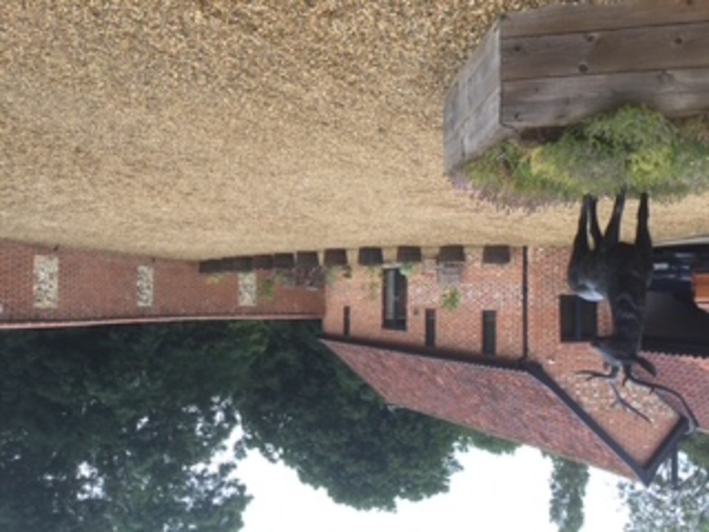 1 bed Barn Conversion for rent in Norwich. From Musker McIntyre - Diss