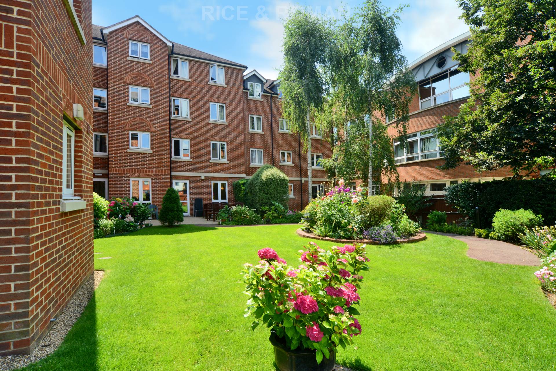 2 bed Reteirment property for rent in Langley Vale. From Rice & Roman