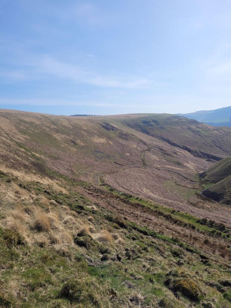 0 bed Farm Land for rent in Treorchy. From Herbert R Thomas - Cowbridge