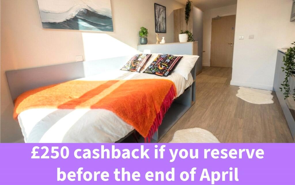 0 bed Studio for rent in Bristol. From Digs - Bristol