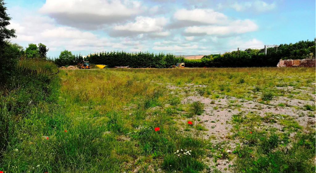 4 bed Dev Land - Leisure for rent in Berwick-upon-Tweed. From EDWIN THOMPSON - Galashiels