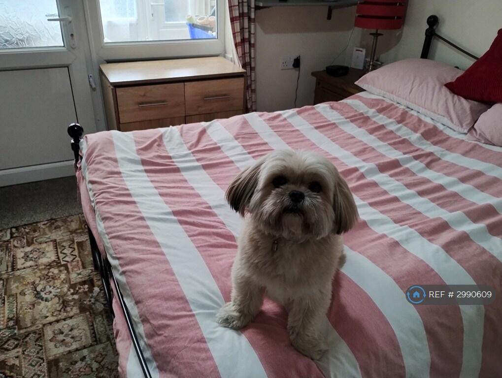 1 bed House Share for rent in Hull. From OpenRent
