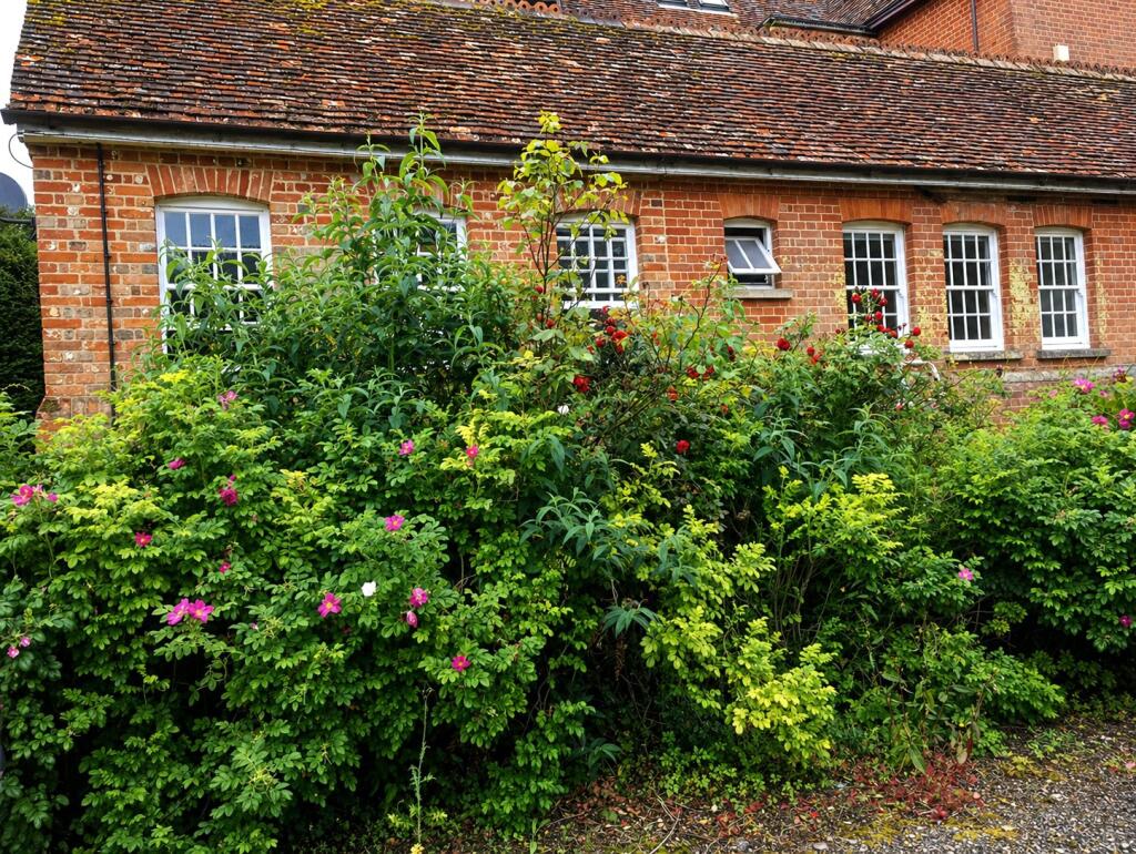 1 bed 1st Floor Flat for rent in Sudbury. From Leaders - Sudbury