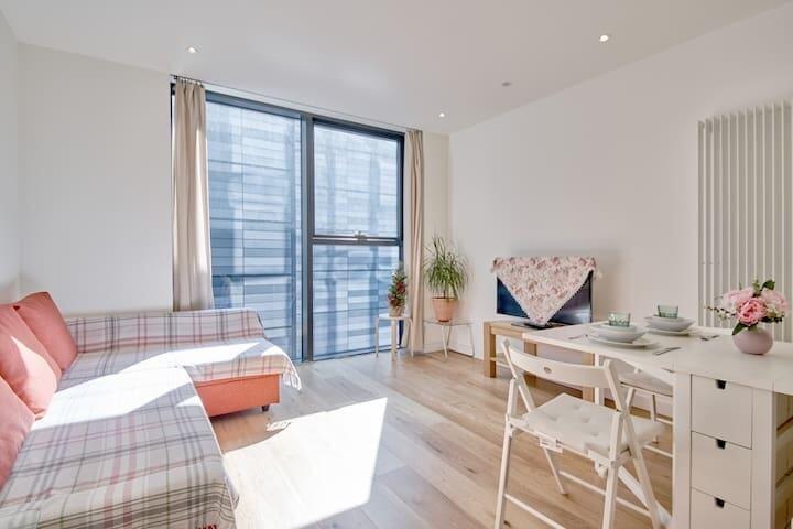 1 bed 1st Floor Flat for rent in Edinburgh. From SouthSide Property Management - Edinburgh