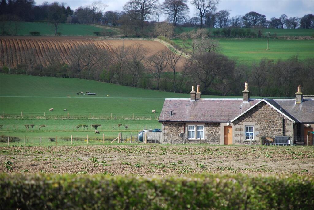 2 bed Semi Detached for rent in Bonnybank. From Galbraith - Cupar